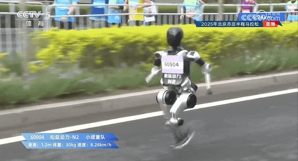 5.gif